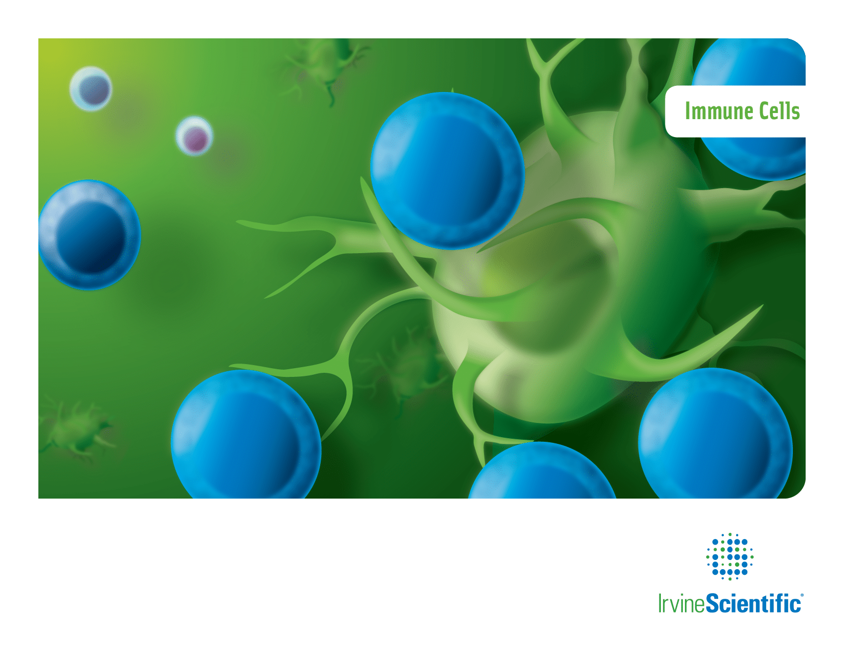 Scientific illustration Protocol Cover Immune Cells